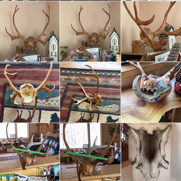 🌲 FLEECE JACKET REVERSIBLE MINNESOTA STATE PARK UNISEX SZ XL - Picture 11 of 16